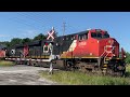 1 hour of trains rare units cn 916 horn salutes etc railfanning on the bala and newmarket subs