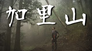 登山健行6👉中部小百岳加里山步道，大坪林道杜鵑嶺P型縱走| Taiwan Hiking Trail