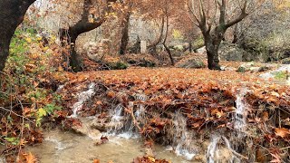 Srushti kurdistan /payezi  davari barzan دەڤەری بارزان - پایز- سروشتی کوردستان