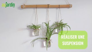 HOW TO MAKE an INDOOR HANGING ART and TAKE CUTTINGS?