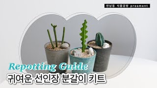 초보 가드너를 위한 선인장 분갈이의 정석! [프먼 선인장 홈 가드닝 키트]