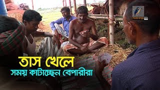 জমে ওঠেনি পশুর হাট