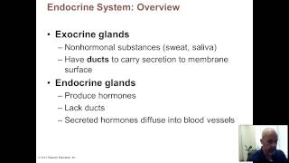 BIO 202 - UNIT 1 PHYS - INTRODUCTION TO THE ENDOCRINE SYSTEM