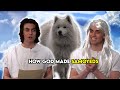 God Makes Samoyeds