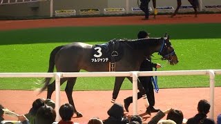 アルジャンテ、うずしおステークスのパドック。阪神競馬場、現地映像