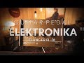 Elektronika FL-01 Flanger Chorus - vintage soviet guitar pedal USSR