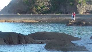 田辺市天神崎元島堤防、地磯の釣り人　秋分の日