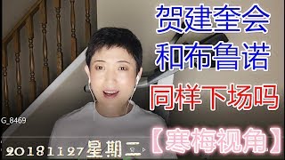 181127 -4【西方媒体及专家对基因编辑婴儿的反应】【基因编辑婴儿专家贺建奎命运堪忧】【寒梅视角】