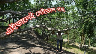 গুৱাহাটী বুলি কলে বিশ্বাস নকৰিব। দীৰ্ঘেশ্বৰী মন্দিৰ, Dirgheswari Mandir। Travel With Mriganka