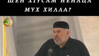 Асвад Хареханов_ Дела Элча ﷺ Ше Х1усам Ненаца Мух Хилла??