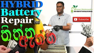 HYBRID OWNERS GUIDE 16  ( Hybrid බැටරි අළුත්වැඩියාව සාර්ථක ද?) Sinhala