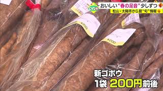 【ベジ得】クセのない味わいの「プチベール」