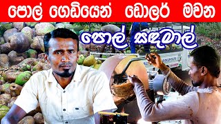 🥥🌴පොල්  ගෙඩියෙන්  ඩොලර්  මවන පොල් සඳමාල් | Making Dollars from Coconuts #coconut #srilanka #travel