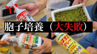 【頭悪い】胞子栽培に活力剤入れたらめっちゃ臭い。