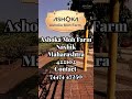 ashoka moh farm 4k cinematic video nashik adventure family friends luxurious resort b roll