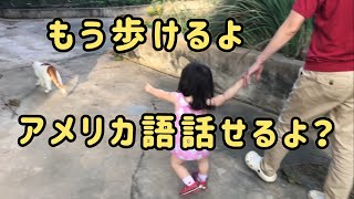 歩けるようになったうえに突然アメリカ語を話し始めた？【ボリビア生まれの日本人1歳児】