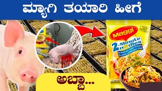 Maggi very Dangerous ll ನಮ್ಮ ಮಕ್ಕಳು ಯಾಕೆ ಮ್ಯಾಗಿ ನೂಡಲ್ಸ್ ತಿನ್ನಬಾರದು.