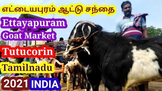 எட்டையபுரம் ஆட்டுச்சந்தை 2021 - Ettayapuram - Tutucorin - Goat Market in Tamilnadu - Tamil Vivasayi