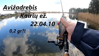 #25 Avižadrebis Kairių ež.  23.04.10