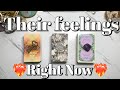 Their Thoughts and Feelings for You❤️‍🔥💘🥰😘🙃 pick a card love tarot reading