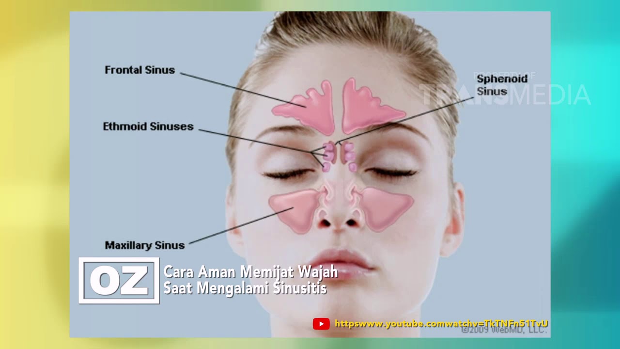 Dr Oz Cara Mengatasi Sinusitis 3 3 19 Part 1 Youtube