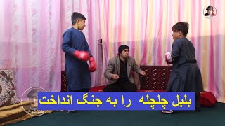 بلبل چلچله را به جنگ انداخت