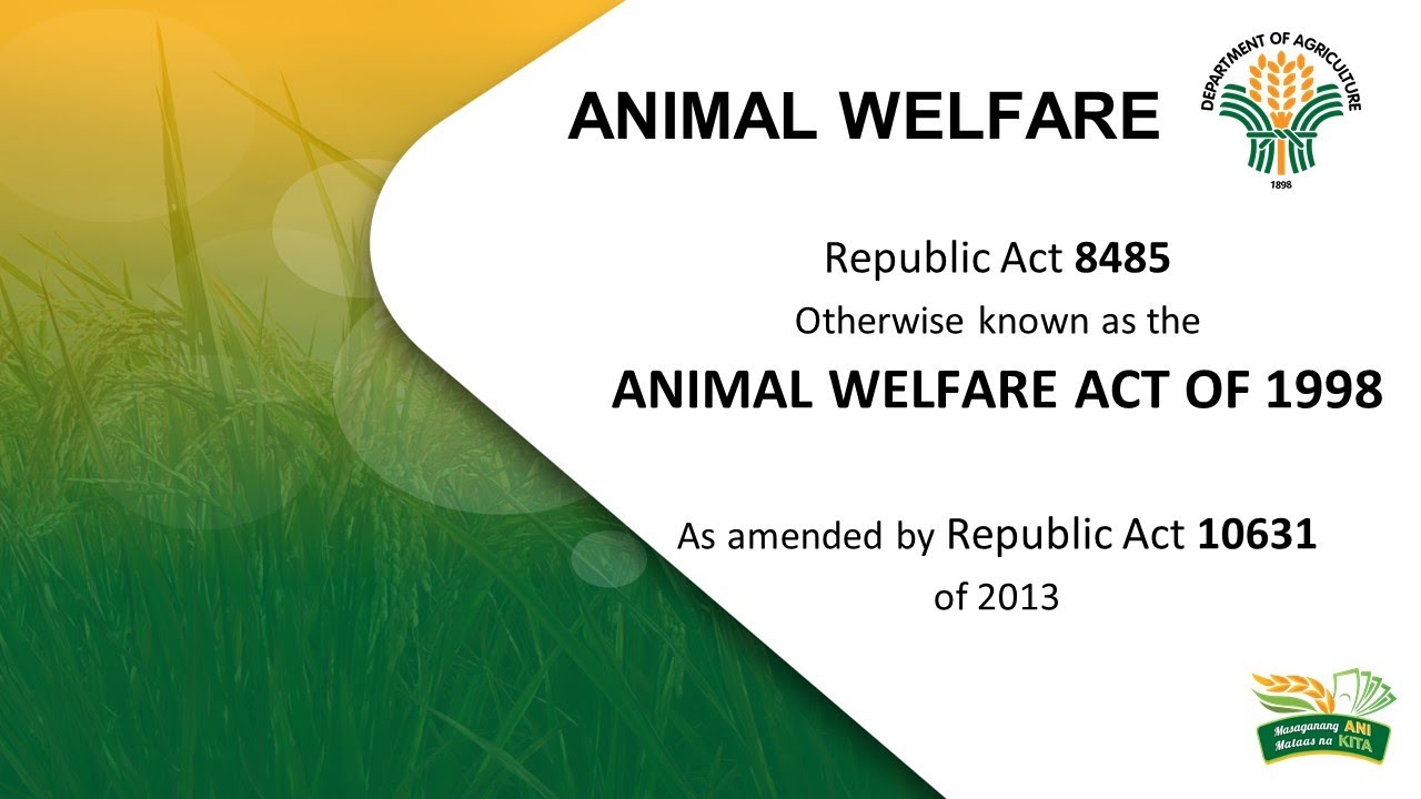 Animal Welfare Act Of 1998 Amended 10631 - Webinar Presentation - YouTube