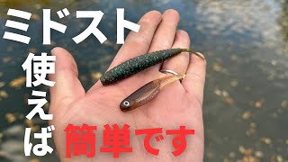 【バス釣り】冬に強い！ミドスト。誰でも釣れる条件、ポイント、セッティングを解説しながら実釣します。使い方さえ分かれば、簡単な使い方とは、、【ボトスト】【ディープミドスト】【冬の最終手段】