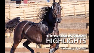 Dreamers Summit Highlights | Lan-Chester Equine | Marvellous Tooma