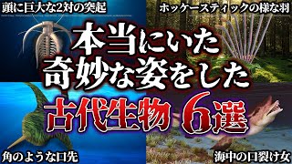 【ゆっくり解説】面白い姿をした本当にいた奇妙な古代生物　６選