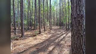 Land for sale in McComb, MS