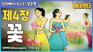 [ #법구경정주행 ] 꽃향기🌺는 바람을 거슬러 가지 못한다 #제4장 #담마빠다 #법구경 #꽃