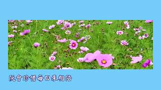 陳昜羊-風中的批 〈Letter in the Wind〉