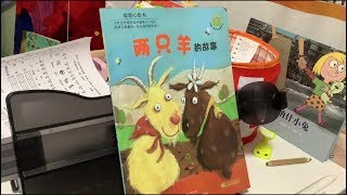 《两只羊的故事》（暖暖心绘本）（中文绘本推荐）【茉莉的学习之旅】