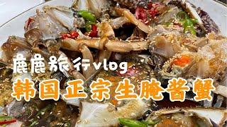 东北老妹在济州岛炫光一大盘生腌酱蟹~酱蟹简直偷饭贼