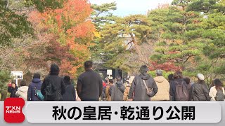 皇居・乾通り　秋の一般公開（2023年11月25日）