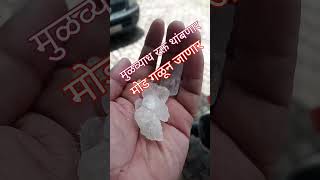 मुळव्याधाचा modacha त्रास कमी होणारा डॉक्टर विलास शिंदे मोफत घरगुती #viralvideo #shorts #piles