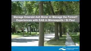 Manage emerald ash borer, or manage the forest?