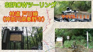 SEROW丹沢ツーリング  戸川林道　2022年10月8日　神奈川県秦野市