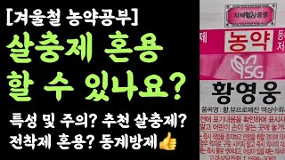 황영웅 살충제 혼용할 수 있나요? 추천 살충제는 스미치온유제, 왜? 과수 동계방제용 황영웅 특성 및 전착제 혼용 등 효과적인 방제👍