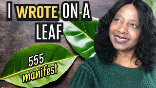 Write 555 MANIFEST On A BAY LEAF And See What Happens Fast