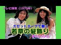 1973年 チェリッシュ「若草の髪飾り」