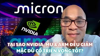 Tại sao NVIDIA, MU \u0026 ARM đều giảm mặc dù có triển vọng tốt?