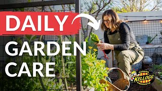 Daily Garden Care | Essential Tasks for a Thriving Garden