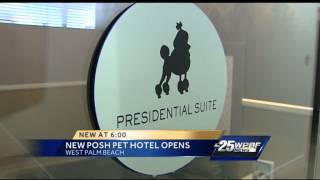 West Palm Beach hotel opens for pets