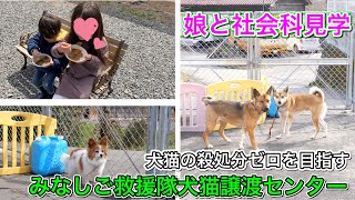 広島にある動物愛護施設に娘と2人で見学に行って来ました！