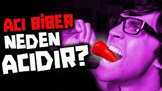 İnsanlar Acı Biberi Neden Seviyor?