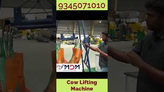 மாடு தூக்கி நிறுத்தும் MACHINE  Cow Lifting Machine..#trending #farmer #cow #agriculture #views