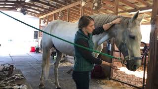 Bladder Meridian Technique