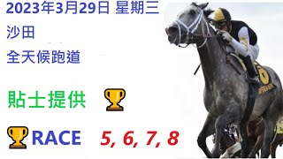 🏆「賽馬貼士」🐴2023年 3 月 26 日💰 星期日  😁 沙田 香港賽馬貼士💪 HONG KONG HORSE RACING TIPS🏆 RACE  5  6  7  8   😁
